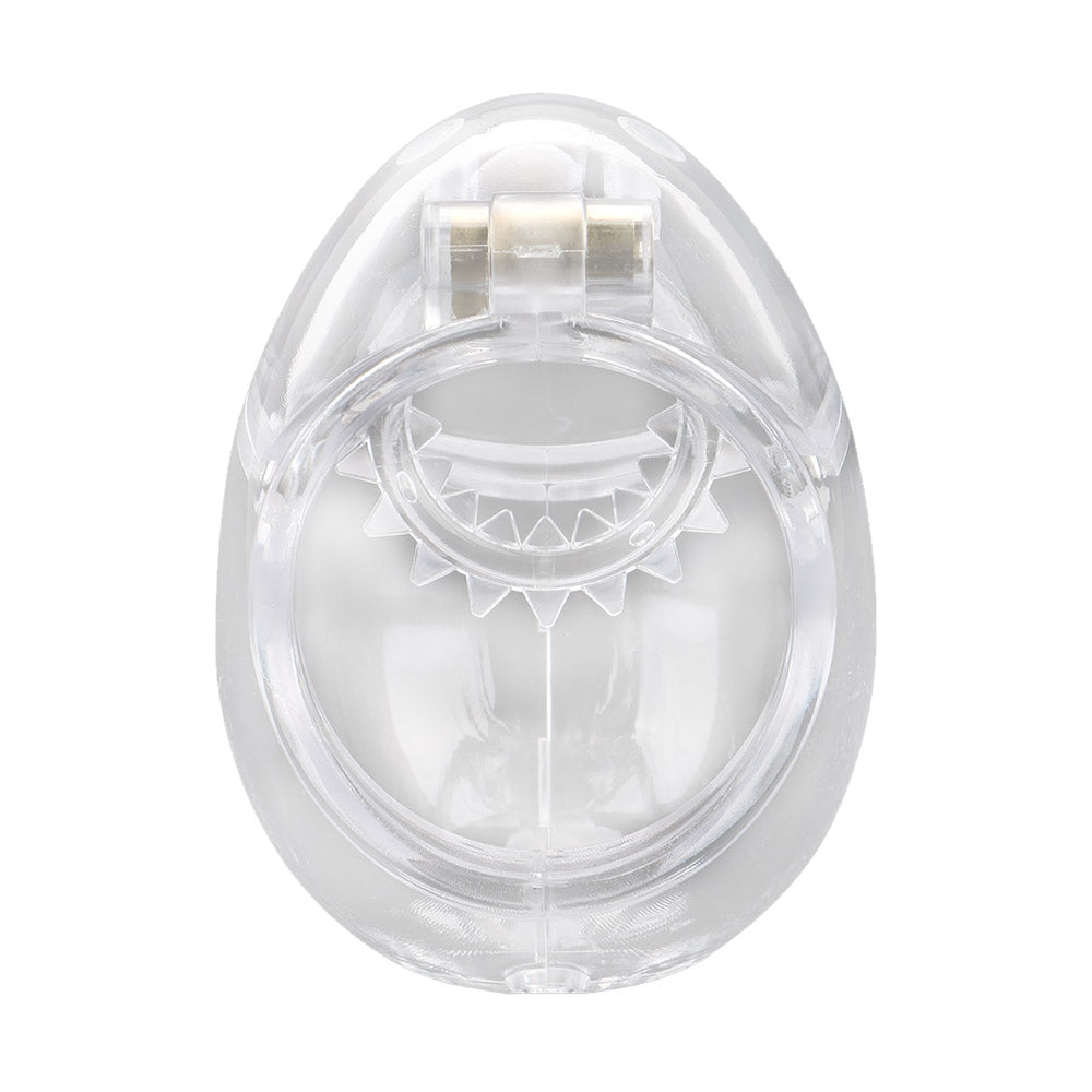 egg chastity cage