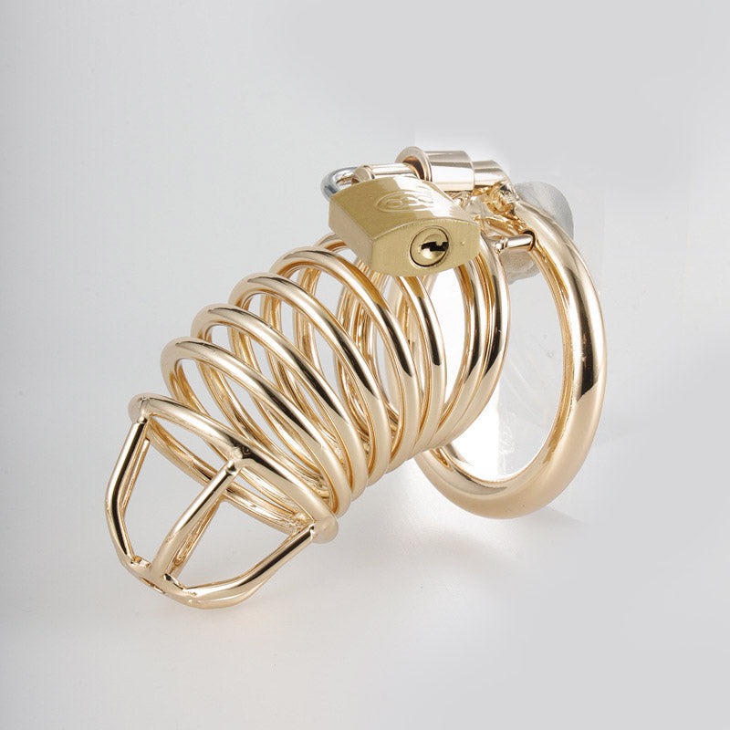 golden chastity cage