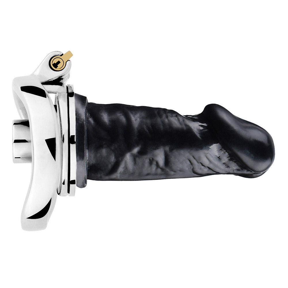 inverted male chastity with dildo