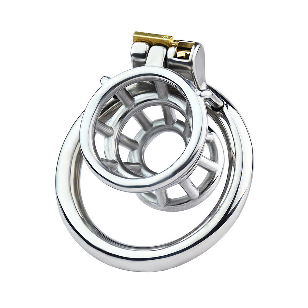 Steel Basket Reverse Chastity Cage